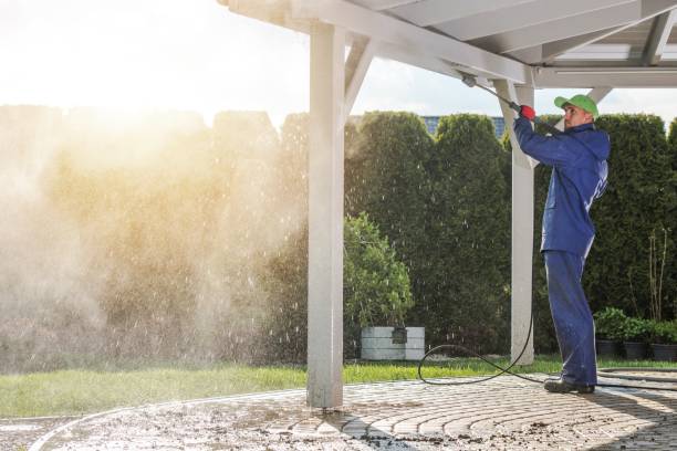 Best Animal Enclosure Cleaning  in Stockbridge, MI